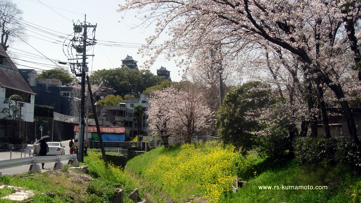 内坪井町の夏目漱石旧家付近から熊本城を望む　2012年4月撮影