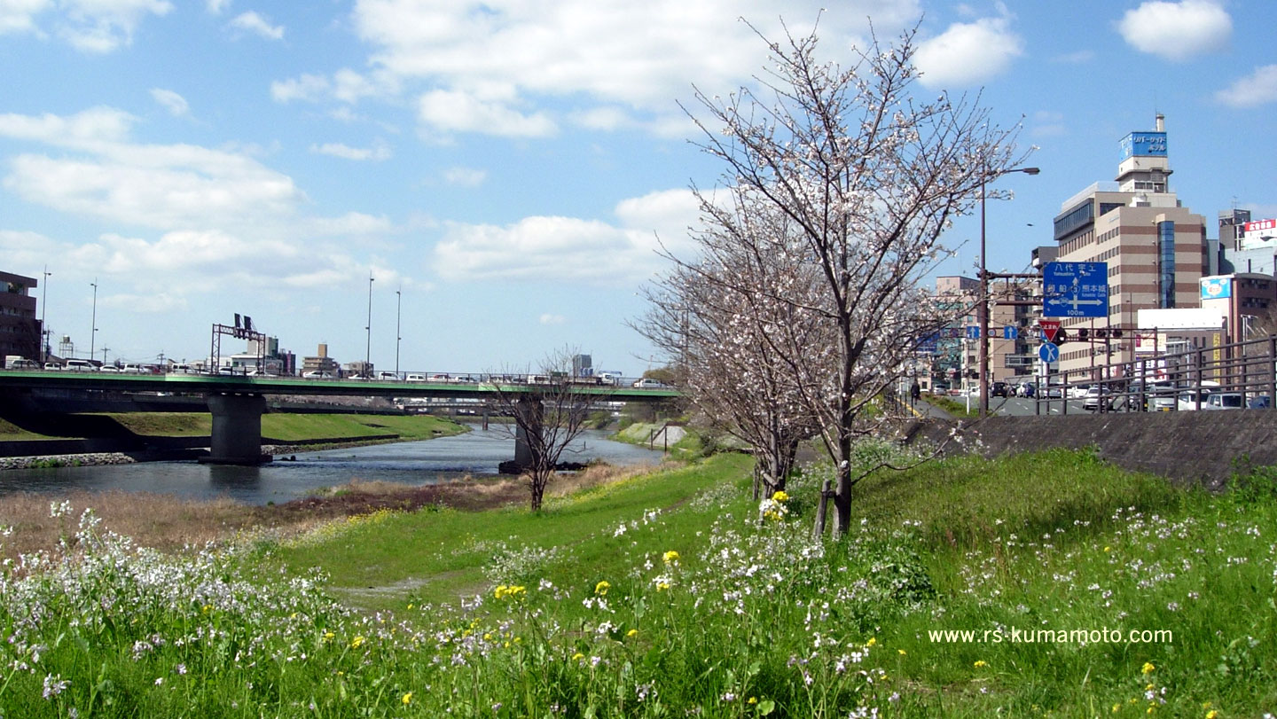 春の代継橋上流河川敷　2010年3月撮影