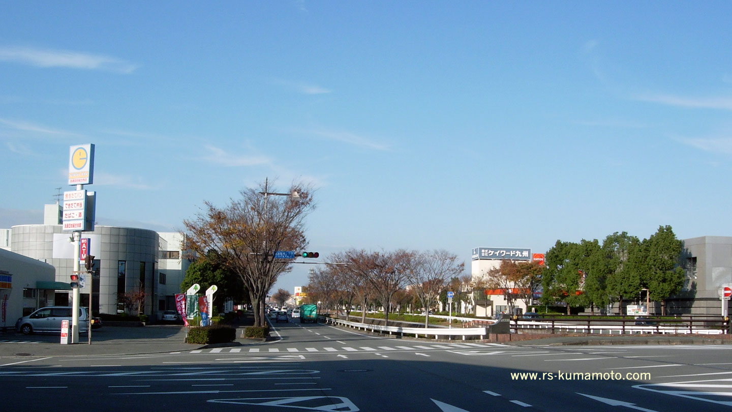 流通団地　恵比寿橋付近　2010年11月撮影